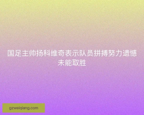 国足主帅扬科维奇表示队员拼搏努力遗憾未能取胜